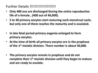 Further Details !!!!!!!!!!!!!!!!!!!!!
• Only 400 ova are discharged During the entire reproductive
  life of a female , (400 out of 40,000).
• 5 to 30 primary oocytes start maturing each menstrual cycle,
  but only one of them reaches the maturity and is ovulated.

• In late fetal period primary oogonia enlarged to form
  primary oocytes.
• At the time of birth all primary oocytes are in the prophase
  of the 1st meiotic division. There number is about 40,000.

• The primary oocytes remain in prophase and do not
  complete their 1st meiotic division until they begin to mature
  and are ready to ovulate.
 
