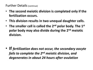 Further Details (continue)
• The second meiotic division is completed only if the
  fertilization occurs.
• This division results in two unequal daughter cells.
• The smaller cell is called the 2nd polar body. The 1st
  polar body may also divide during the 2nd meiotic
  division.


• If fertilization does not occur, the secondary oocyte
  fails to complete the 2nd meiotic division, and
  degenerates in about 24 hours after ovulation
 