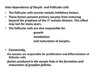 Inter-dependence of Oocyte and Follicular cells
• The follicular cells secrete meiotic inhibitory factors.
• These factors prevent primary oocytes from maturing
  beyond the prophase of the 1st meiotic division. This effect
  may last for many years.
• The follicular cells are also responsible for
                       growth
                       metabolism
                       and maturation of oocytes.

• Conversely,
 the oocytes are responsible for proliferation and differentiation of
  follicular cells.
 factors produced in the oocyte help in the formation and
  maturation of graafian follicles.
 