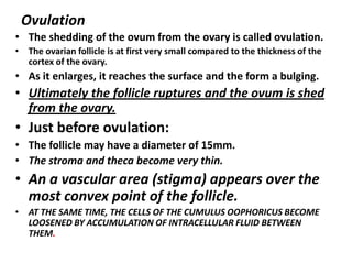 Ovulation
• The shedding of the ovum from the ovary is called ovulation.
• The ovarian follicle is at first very small compared to the thickness of the
  cortex of the ovary.
• As it enlarges, it reaches the surface and the form a bulging.
• Ultimately the follicle ruptures and the ovum is shed
  from the ovary.
• Just before ovulation:
• The follicle may have a diameter of 15mm.
• The stroma and theca become very thin.
• An a vascular area (stigma) appears over the
  most convex point of the follicle.
• AT THE SAME TIME, THE CELLS OF THE CUMULUS OOPHORICUS BECOME
  LOOSENED BY ACCUMULATION OF INTRACELLULAR FLUID BETWEEN
  THEM.
 