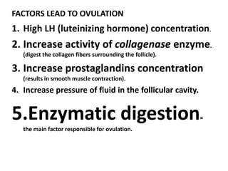 FACTORS LEAD TO OVULATION
1. High LH (luteinizing hormone) concentration.
2. Increase activity of collagenase enzyme.
   (digest the collagen fibers surrounding the follicle).

3. Increase prostaglandins concentration
   (results in smooth muscle contraction).
4. Increase pressure of fluid in the follicular cavity.


5.Enzymatic digestion                                       =
   the main factor responsible for ovulation.
 