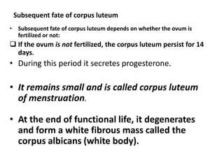 Subsequent fate of corpus luteum
• Subsequent fate of corpus luteum depends on whether the ovum is
  fertilized or not:
 If the ovum is not fertilized, the corpus luteum persist for 14
  days.
• During this period it secretes progesterone.

• It remains small and is called corpus luteum
  of menstruation.

• At the end of functional life, it degenerates
  and form a white fibrous mass called the
  corpus albicans (white body).
 