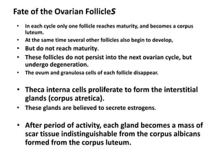 Fate of the Ovarian Follicles
 •   In each cycle only one follicle reaches maturity, and becomes a corpus
     luteum.
 •   At the same time several other follicles also begin to develop,
 •   But do not reach maturity.
 • These follicles do not persist into the next ovarian cycle, but
   undergo degeneration.
 •   The ovum and granulosa cells of each follicle disappear.


 • Theca interna cells proliferate to form the interstitial
   glands (corpus atretica).
 • These glands are believed to secrete estrogens.

 • After period of activity, each gland becomes a mass of
   scar tissue indistinguishable from the corpus albicans
   formed from the corpus luteum.
 