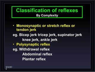 Git Reflex Classify Comprehensive Overview of Spinal Cord Functions and Reflexes in ...