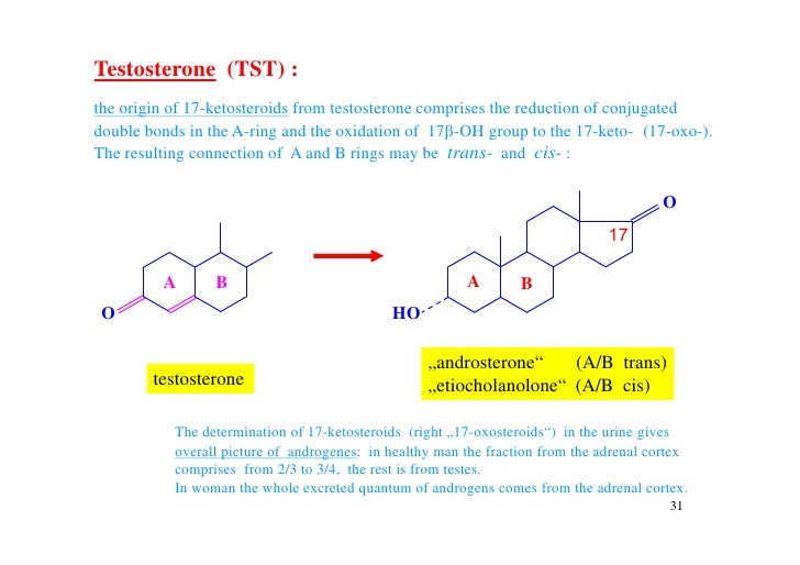 2 steroid metabolism