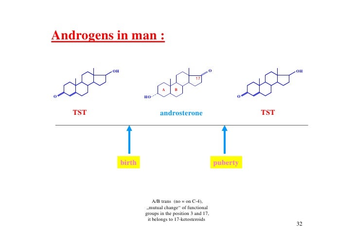 2 steroid metabolism