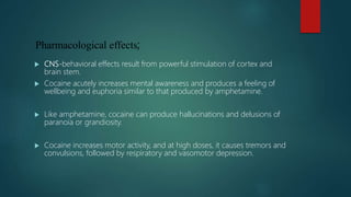 Pharmacological effects;
 CNS-behavioral effects result from powerful stimulation of cortex and
brain stem.
 Cocaine acutely increases mental awareness and produces a feeling of
wellbeing and euphoria similar to that produced by amphetamine.
 Like amphetamine, cocaine can produce hallucinations and delusions of
paranoia or grandiosity.
 Cocaine increases motor activity, and at high doses, it causes tremors and
convulsions, followed by respiratory and vasomotor depression.
 