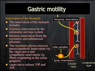 2-Stomach1 (1).ppt