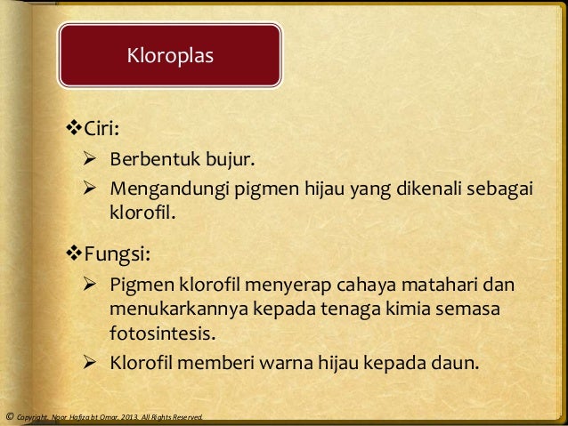 Bab 2 Struktur Sel Dan Organisasi Sel