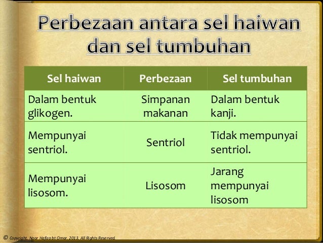 76 Gambar Bentuk Bentuk Sel Paling Keren 76 Gambar Bentuk Bentuk Sel Paling Keren