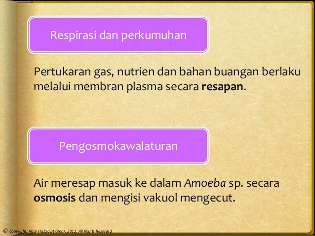 Bab 2 Struktur Sel Dan Organisasi Sel