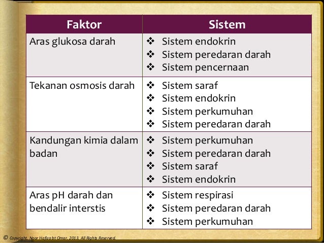 Mekanisme Pengawalaturan Apabila Aras Glukosa Darah Meningkat Arasbloge