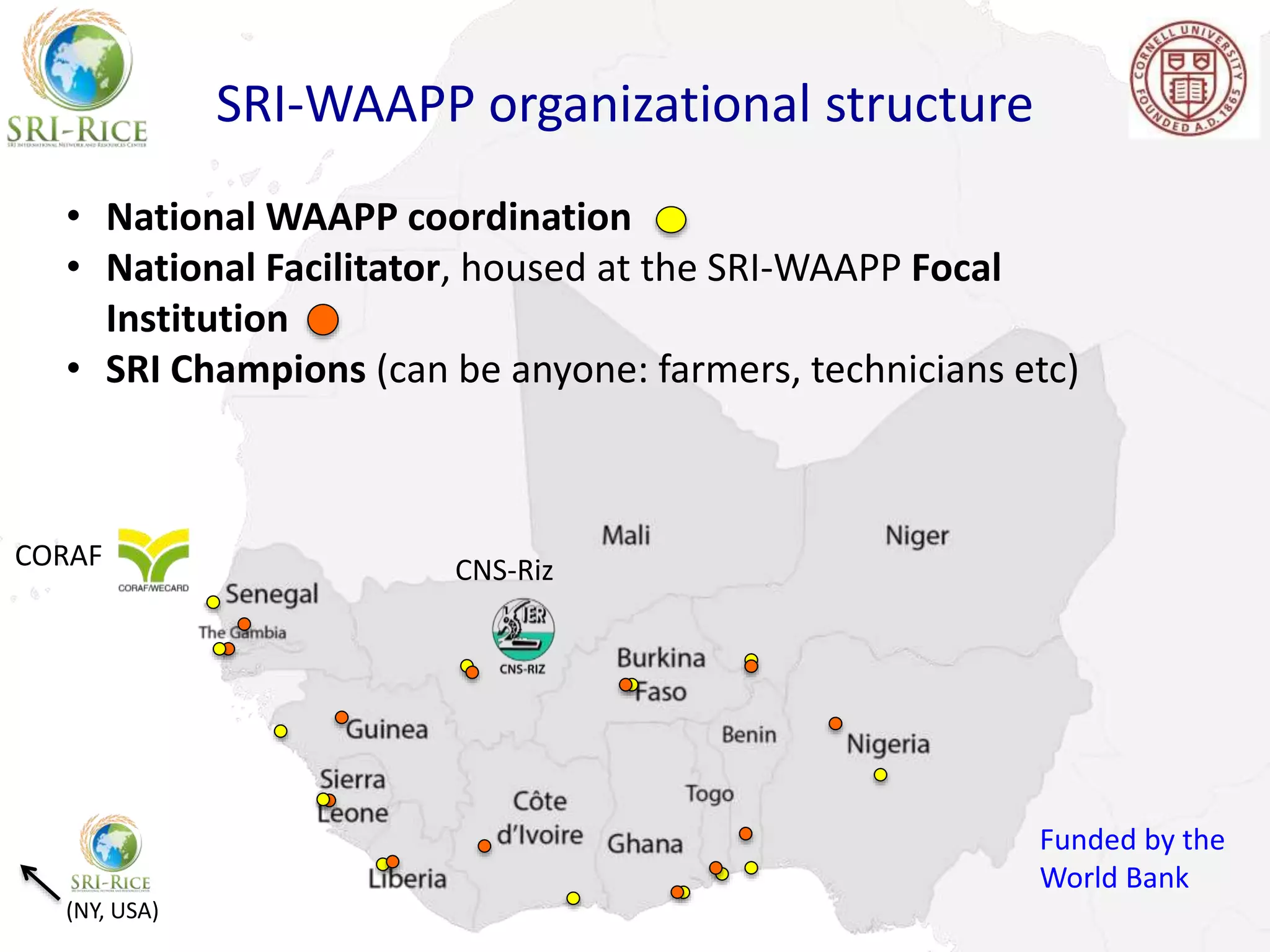 • National WAAPP coordination
• National Facilitator, housed at the SRI-WAAPP Focal
Institution
• SRI Champions (can be anyone: farmers, technicians etc)
SRI-WAAPP organizational structure
(NY, USA)
CORAF CNS-Riz
Funded by the
World Bank
 