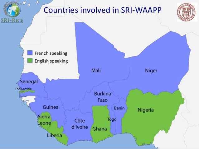 Improving and Scaling Up SRI in West Africa: Insights from a regional…