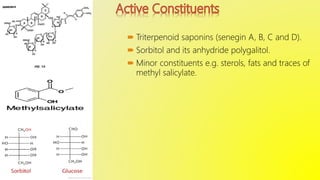  Triterpenoid saponins (senegin A, B, C and D).
 Sorbitol and its anhydride polygalitol.
 Minor constituents e.g. sterols, fats and traces of
methyl salicylate.
 