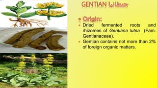  Dried fermented roots and
rhizomes of Gentiana lutea (Fam.
Gentianaceae).
 Gentian contains not more than 2%
of foreign organic matters.
 