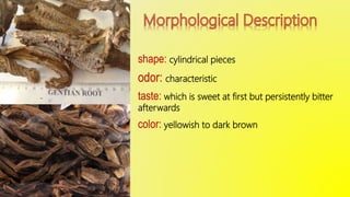 shape: cylindrical pieces
odor: characteristic
taste: which is sweet at first but persistently bitter
afterwards
color: yellowish to dark brown
 