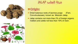  Dried tuberous roots of Ipomea purga (Fam.
Convolvulaceae), known as Mexican Jalap.
 Jalap contains not more than 2% of foreign organic
matters and yields not less than 10% of resin.
 