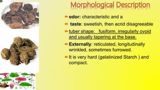 odor: characteristic and a
 taste: sweetish, then acrid disagreeable
tuber shape: fusiform, irregularly ovoid
and usually tapering at the base.
Externally: reticulated, longitudinally
wrinkled, sometimes furrowed.
It is very hard (gelatinized Starch ) and
compact.
 