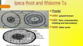 Powder
color: greyish-brown
odor: faint, characteristic,
irritating and sternutatory
taste: bitter acrid.
 