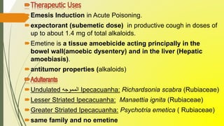 Emesis Induction in Acute Poisoning.
expectorant (subemetic dose) in productive cough in doses of
up to about 1.4 mg of total alkaloids.
Emetine is a tissue amoebicide acting principally in the
bowel wall(amoebic dysentery) and in the liver (Hepatic
amoebiasis).
antitumor properties (alkaloids)
Undulated ‫المموجه‬ Ipecacuanha: Richardsonia scabra (Rubiaceae)
Lesser Striated Ipecacuanha: Manaettia ignita (Rubiaceae)
Greater Striated Ipecacuanha: Psychotria emetica ( Rubiaceae)
same family and no emetine
 