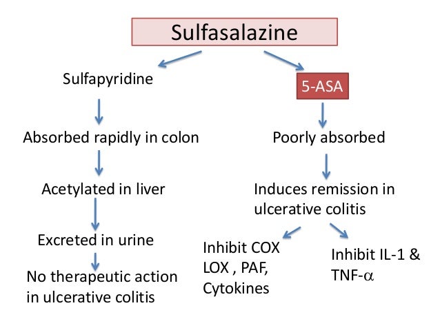 Sulfasalazine (Azulfidine) Ulcerative Colitis
