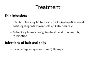 Treatment
Skin infections
– Infected skin may be treated with topical application of
antifungal agents miconazole and clotrimazole
– Refractory lesions oral griseofulvin and itraconazole,
terbinafine
Infections of hair and nails
– usually require systemic ( oral) therapy
 
