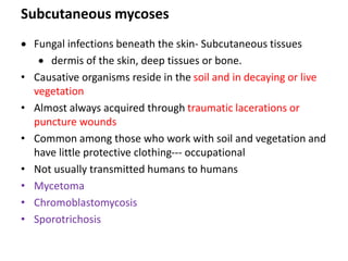 Subcutaneous mycoses
 Fungal infections beneath the skin- Subcutaneous tissues
 dermis of the skin, deep tissues or bone.
• Causative organisms reside in the soil and in decaying or live
vegetation
• Almost always acquired through traumatic lacerations or
puncture wounds
• Common among those who work with soil and vegetation and
have little protective clothing--- occupational
• Not usually transmitted humans to humans
• Mycetoma
• Chromoblastomycosis
• Sporotrichosis
 