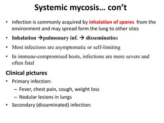 Systemic mycosis… con’t
• Infection is commonly acquired by inhalation of spores from the
environment and may spread form the lung to other sites
• Inhalation pulmonary inf.  dissemination
• Most infections are asymptomatic or self-limiting
• In immune-compromised hosts, infections are more severe and
often fatal
Clinical pictures
• Primary infection:
– Fever, chest pain, cough, weight loss
– Nodular lesions in lungs
• Secondary (disseminated) infection:
 