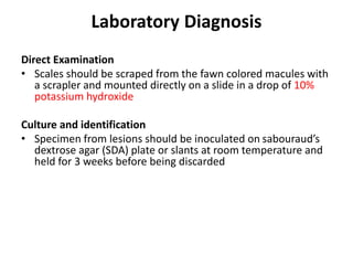 Laboratory Diagnosis
Direct Examination
• Scales should be scraped from the fawn colored macules with
a scrapler and mounted directly on a slide in a drop of 10%
potassium hydroxide
Culture and identification
• Specimen from lesions should be inoculated on sabouraud’s
dextrose agar (SDA) plate or slants at room temperature and
held for 3 weeks before being discarded
 