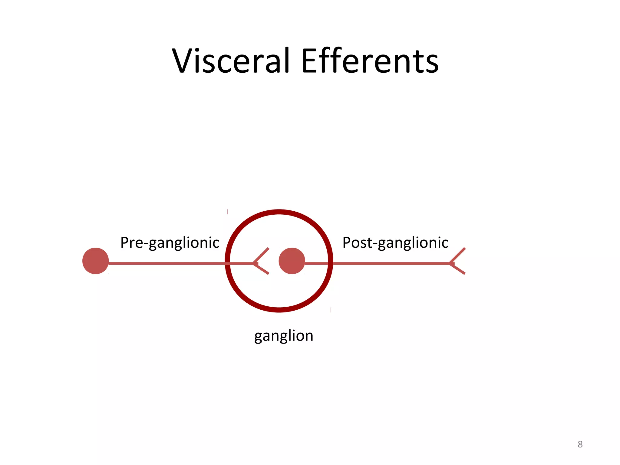 8
Visceral Efferents
Pre-ganglionic
ganglion
Post-ganglionic
 