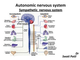 Autonomic nervous system
 Sympathetic nervous system




                                         Dr
                              Swati Patil
                                       1
 