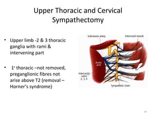 Upper Thoracic and Cervical
                   Sympathectomy

• Upper limb -2 & 3 thoracic
  ganglia with rami &
  interve...