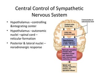 Central Control of Sympathetic
             Nervous System
• Hypothalamus –controlling
  &integrating center
• Hypothalamus –autonomic
  nuclei –spinal cord –
  reticular formation
• Posterior & lateral nuclei –
  noradrenergic response




                                       44
 