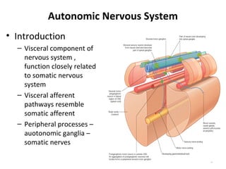 Autonomic Nervous System
• Introduction
  – Visceral component of
    nervous system ,
    function closely related
    to somatic nervous
    system
  – Visceral afferent
    pathways resemble
    somatic afferent
  – Peripheral processes –
    auotonomic ganglia –
    somatic nerves

                                       5
 