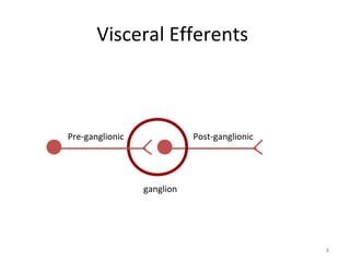 Visceral Efferents



Pre-ganglionic              Post-ganglionic




                 ganglion




                                              8
 
