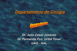 Departamento de Cirugía Dr. Julio César Jiménez Dr. Fernando Fco. Uribe Tovar UAG - HAL Quemaduras 