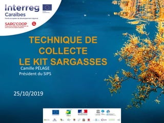 TECHNIQUE DE
COLLECTE
LE KIT SARGASSES
Camille PÉLAGE
Président du SIPS
25/10/2019
 