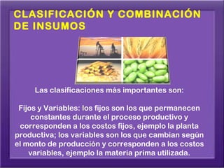 CLASIFICACIÓN Y COMBINACIÓN
DE INSUMOS




     Las clasificaciones más importantes son:

 Fijos y Variables: los fijos son los que permanecen
     constantes durante el proceso productivo y
 corresponden a los costos fijos, ejemplo la planta
productiva; los variables son los que cambian según
el monto de producción y corresponden a los costos
    variables, ejemplo la materia prima utilizada.
 