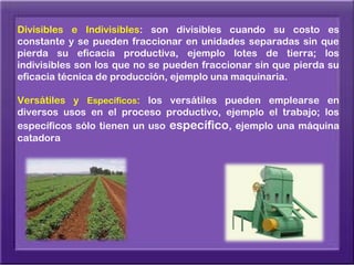 Divisibles e Indivisibles: son divisibles cuando su costo es
constante y se pueden fraccionar en unidades separadas sin que
pierda su eficacia productiva, ejemplo lotes de tierra; los
indivisibles son los que no se pueden fraccionar sin que pierda su
eficacia técnica de producción, ejemplo una maquinaria.

Versátiles y Específicos: los versátiles pueden emplearse en
diversos usos en el proceso productivo, ejemplo el trabajo; los
específicos sólo tienen un uso específico, ejemplo una máquina
catadora
 