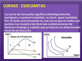 CURVAS ISOCUANTAS
La curva de isocuanta significa etimológicamente
iso=igual y cuantum=cantidad, es decir, igual cantidad.
Por lo tanto una isocuanta es una curva que en todos sus
puntos nos muestra las diversas combinaciones de
factores (trabajo y capital) que producen un determinado
nivel de producción.
 