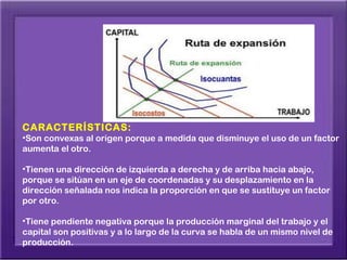 CARACTERÍSTICAS:
•Son convexas al origen porque a medida que disminuye el uso de un factor
aumenta el otro.

•Tienen una dirección de izquierda a derecha y de arriba hacia abajo,
porque se sitúan en un eje de coordenadas y su desplazamiento en la
dirección señalada nos indica la proporción en que se sustituye un factor
por otro.

•Tiene pendiente negativa porque la producción marginal del trabajo y el
capital son positivas y a lo largo de la curva se habla de un mismo nivel de
producción.
 