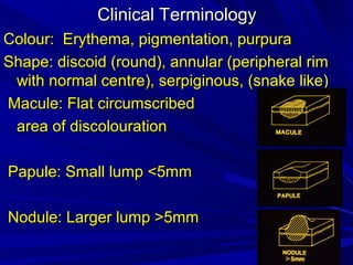 2.terminology used in dermatology rp | PPT
