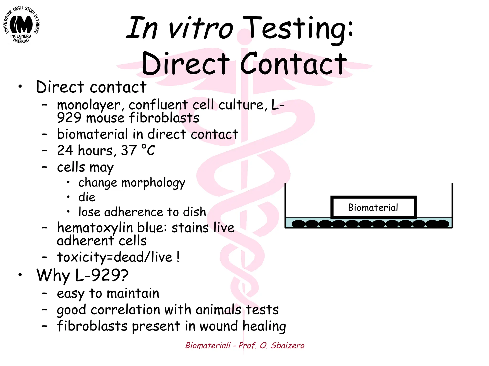 Biomateriali - Prof. O. Sbaizero
In vitro Testing:
Direct Contact
• Direct contact
– monolayer, confluent cell culture, L-
929 mouse fibroblasts
– biomaterial in direct contact
– 24 hours, 37 °C
– cells may
• change morphology
• die
• lose adherence to dish
– hematoxylin blue: stains live
adherent cells
– toxicity=dead/live !
• Why L-929?
– easy to maintain
– good correlation with animals tests
– fibroblasts present in wound healing
Biomaterial
 
