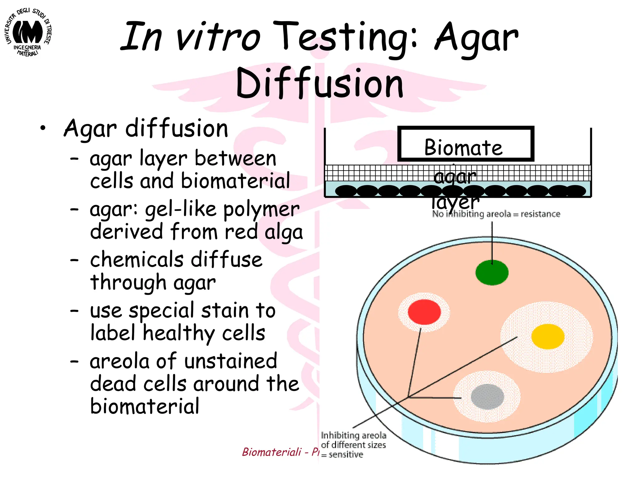 Biomateriali - Prof. O. Sbaizero 14
In vitro Testing: Agar
Diffusion
• Agar diffusion
– agar layer between
cells and biomaterial
– agar: gel-like polymer
derived from red alga
– chemicals diffuse
through agar
– use special stain to
label healthy cells
– areola of unstained
dead cells around the
biomaterial
Biomate
rial
agar
layer
 