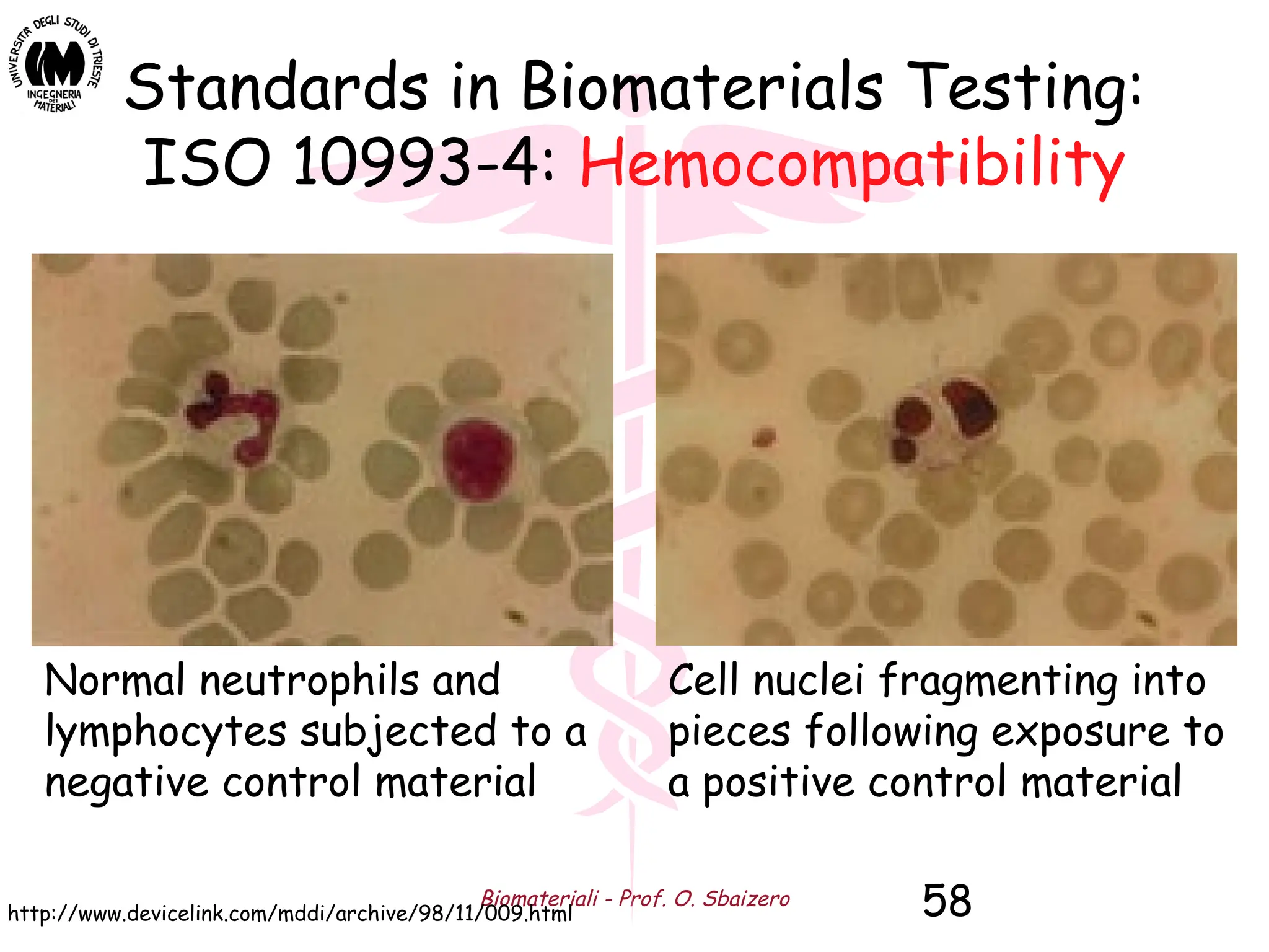 Biomateriali - Prof. O. Sbaizero 58
Standards in Biomaterials Testing:
ISO 10993-4: Hemocompatibility
Normal neutrophils and
lymphocytes subjected to a
negative control material
http://www.devicelink.com/mddi/archive/98/11/009.html
Cell nuclei fragmenting into
pieces following exposure to
a positive control material
 
