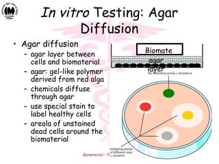 Biomateriali - Prof. O. Sbaizero 14
In vitro Testing: Agar
Diffusion
• Agar diffusion
– agar layer between
cells and biomaterial
– agar: gel-like polymer
derived from red alga
– chemicals diffuse
through agar
– use special stain to
label healthy cells
– areola of unstained
dead cells around the
biomaterial
Biomate
rial
agar
layer
 
