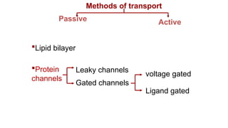 Comprehensive Overview of Cell Structure, Membrane Function, and ...