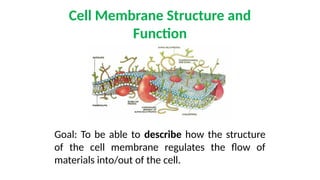 Comprehensive Overview of Cell Structure, Membrane Function, and ...