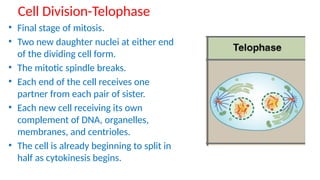 Comprehensive Overview of Cell Structure, Membrane Function, and ...